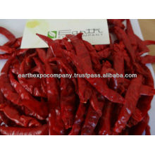 Dried Red Hot Chilli Exporter